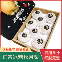 Authentic rock sugar Autumn Moon pear big fruit fresh seasonal fruit whole box gift box crispy sweet pear introduced in Japan Qianyue pear