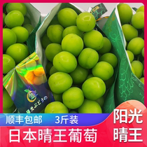 Clear King Grape 3 Jin Sunshine Rose Green Seedless Green Incense Seedless Green Fragrance Green Japanese Variety Grape