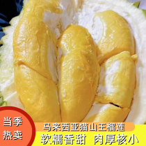 Authentic Malaysian Cat Mountain King durian D197 liquid nitrogen fresh imported fruit Shunfeng