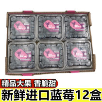 Peru imported blueberries big fruit 12 boxes of crispy sweet blueberries Wang Xinxian fruit pregnant women whole box of blueberry fresh fruit