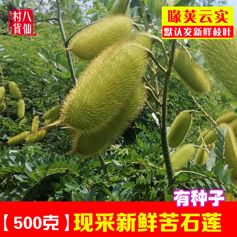 Fresh southern snake scorpion is now picked bitter stone lotus seed southern snake le old crow pillow cat claw scorpion beak pod cloud real branches and leaves