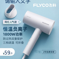 Feike Hairdryer Household High Power Mute Negative Ion Hairdryer Dormitory Student Net Red Windows