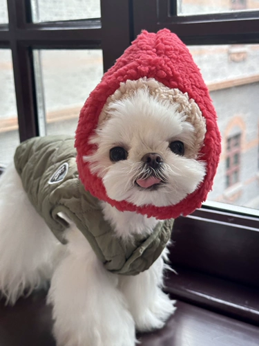 Милая шапка, удерживающий тепло зимний флисовый шлем, увеличенная толщина