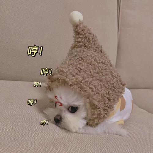 Шляпа для любимой собаки