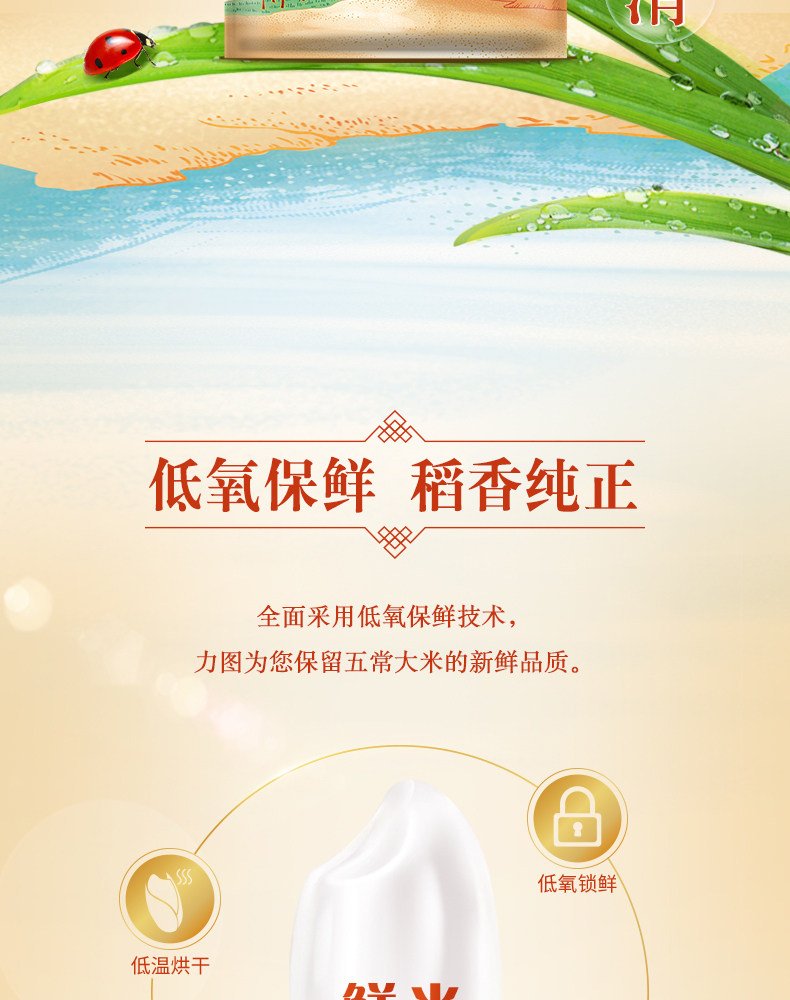 安享好物 安享A级粳米-金龙鱼天赋五常大米 国标