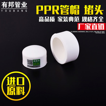 Heating PPR pipe fittings 20 25 32 pipe cover accessories blocking cap hot melt tube plug cap 4 divisions 63