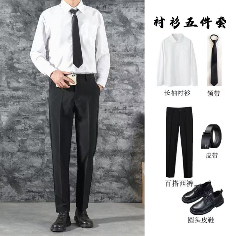 Summer White Shirt Suit for Men, Civil Servant Interview, Job Search Formal Wear, Professional Attire, College Graduation Photo Class Uniform