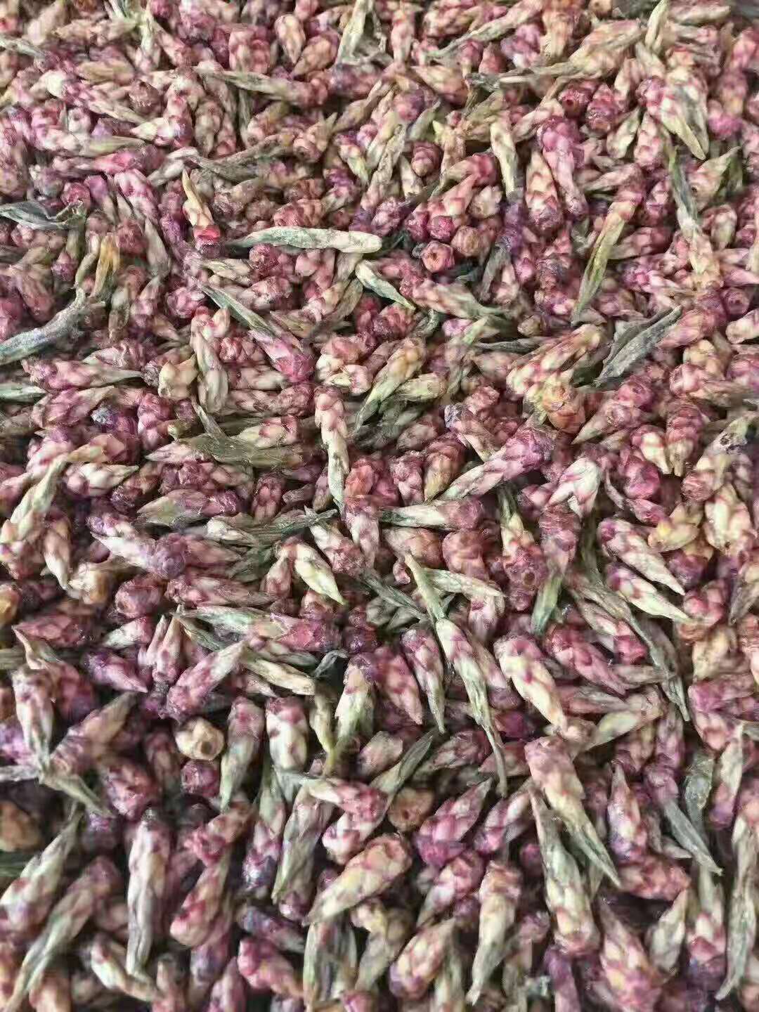 2021, Yunnan Wuding Red Bird Tea Wild Ancient Tree Purple Bud Full Tea Spring Tea Pu'er Raw Tea 500g