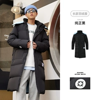 Pure Black-312 【Песосер 278 г/л】