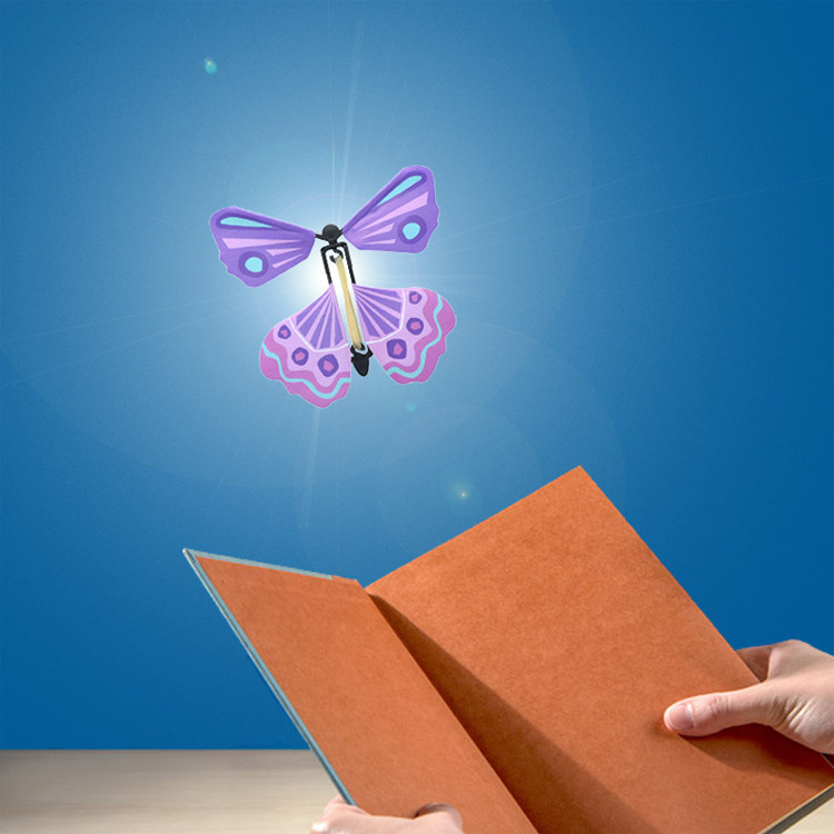 Flying Butterfly 1 Birthday BIRTHDAY SURPRISE GIFT GIFT-GIVING FUN CREATIVE TOY GIFT GIFT-GIVING SLIP NO.