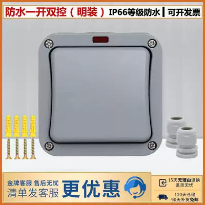 Outdoor waterproof switch Outdoor garden Indoor bathroom site single open double cut with indicator light Surface mounted rainproof IP66