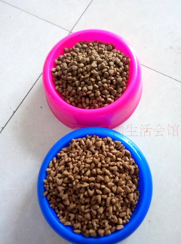 Pet dog thức ăn chủ yếu cho chó thức ăn Jin Mao Samoyed schnauzer Bomei Taidi chó chăn cừu thêm 5 kg thức ăn cho chó tỉnh - Gói Singular thức ăn mèo catsrang