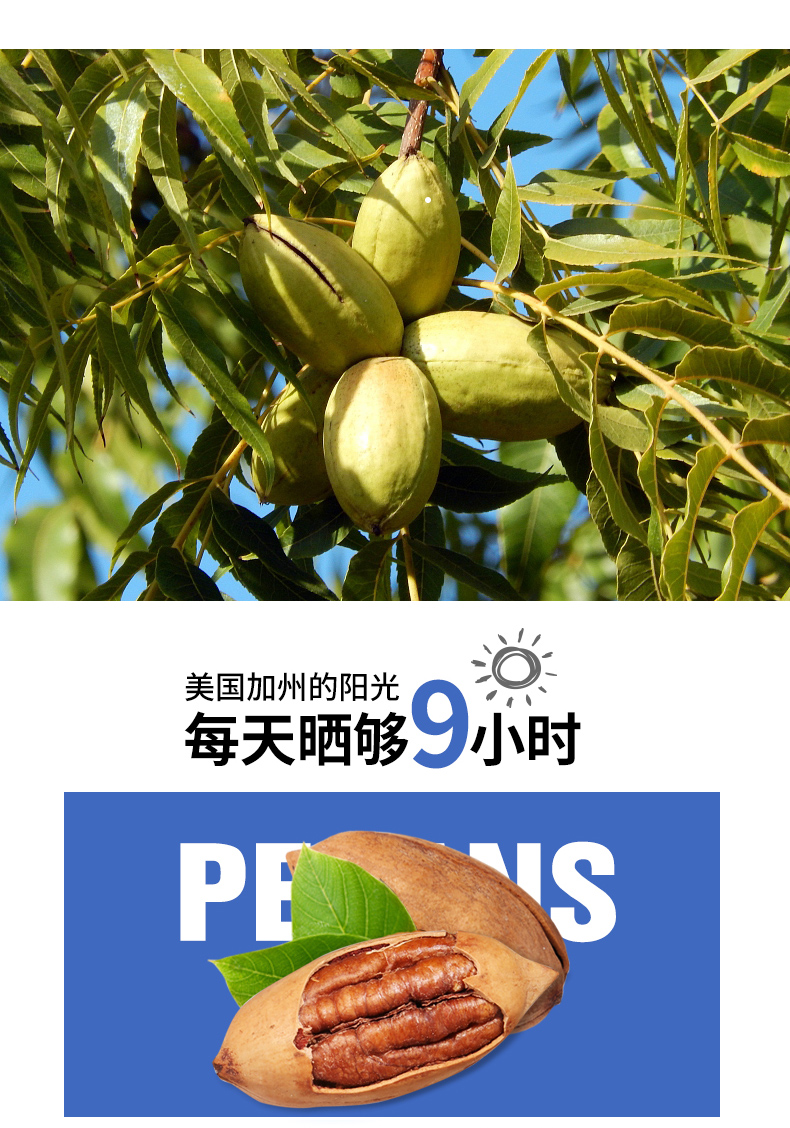 鲜记 奶油味碧根果 250g*2袋 图5