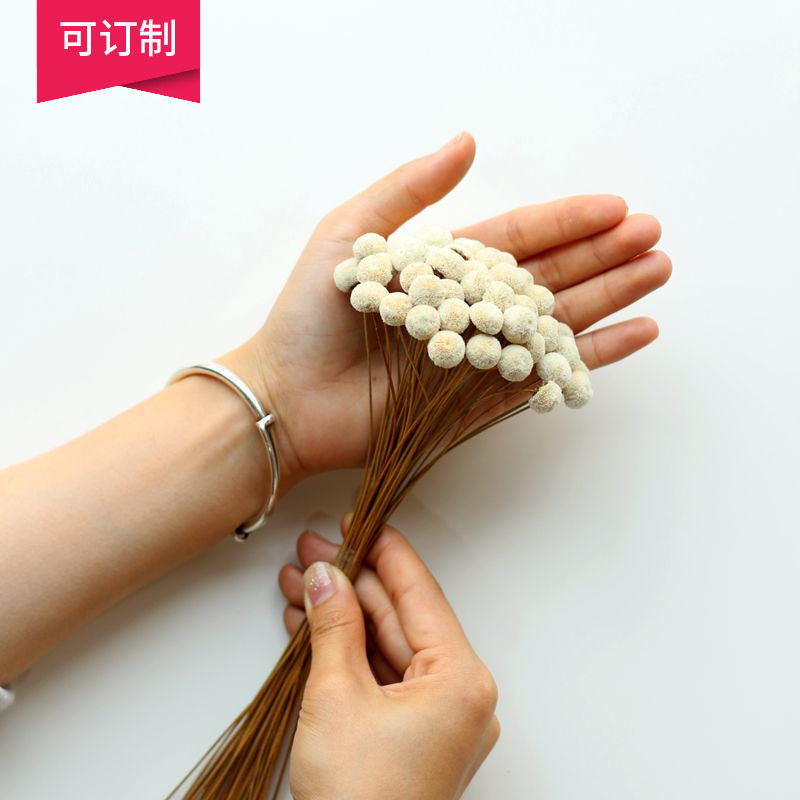 (Mountain Tree) Button Flower 50 Branches Literary Small Fresh Natural Imported Button Flower Art Dry Flower Bouquet Shooting