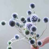 (Mountain tree) imported blue planet dried flower plush texture flower high-end flower shooting props Nordic style home