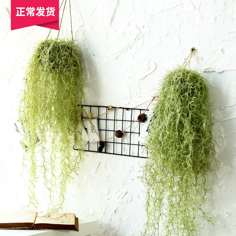(Mountain Trees) emulated air hanging rattan old shall be emulated with air pinewood pituitary hanging and green planting wall-hanging chandelia
