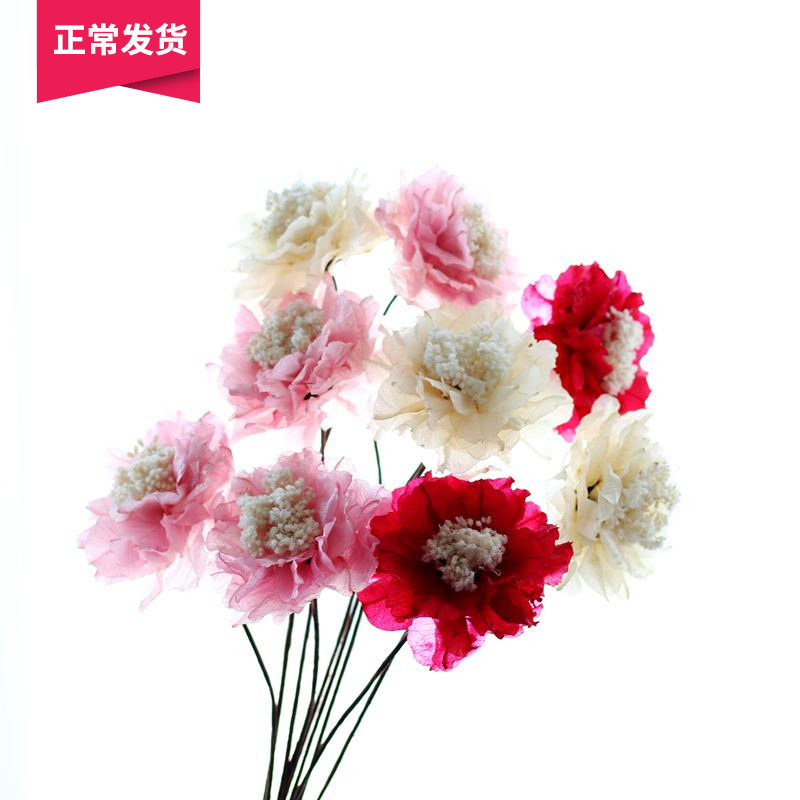 Mountain Tree Pure Handcrafted Dry Flower Simulation Floral Art Big Red 12 cm Large Peony Flowers Interior Decoration Living Room Art