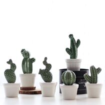 (Mountain tree) mini cactus plant potted ornaments create Nordic home decorations table ceramic furnishings
