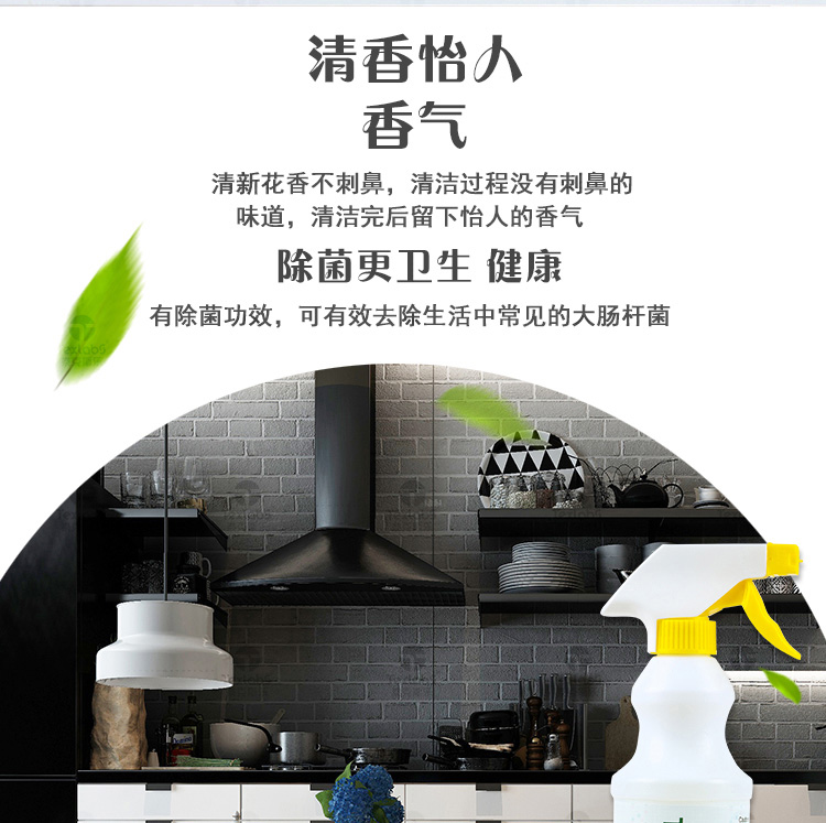 Taixile bếp nặng dầu sạch hộ gia đình phạm vi rửa mui xe chất tẩy rửa mạnh tẩy dầu mỡ - Trang chủ nước tẩy sàn nhà vệ sinh