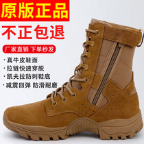 New brown combat training boots autumn and winter mens outdoor waterproof ultra-light training boots high top wear-resistant puncture-proof desert boots