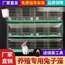 Rabbit cage automatic manure cleaning farm special extra large double-layer new rabbit cage female cage rabbit cage