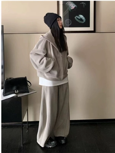 Бархатный демисезонный лебедь, спортивный костюм, спортивная толстовка с капюшоном, штаны, комплект, в американском стиле