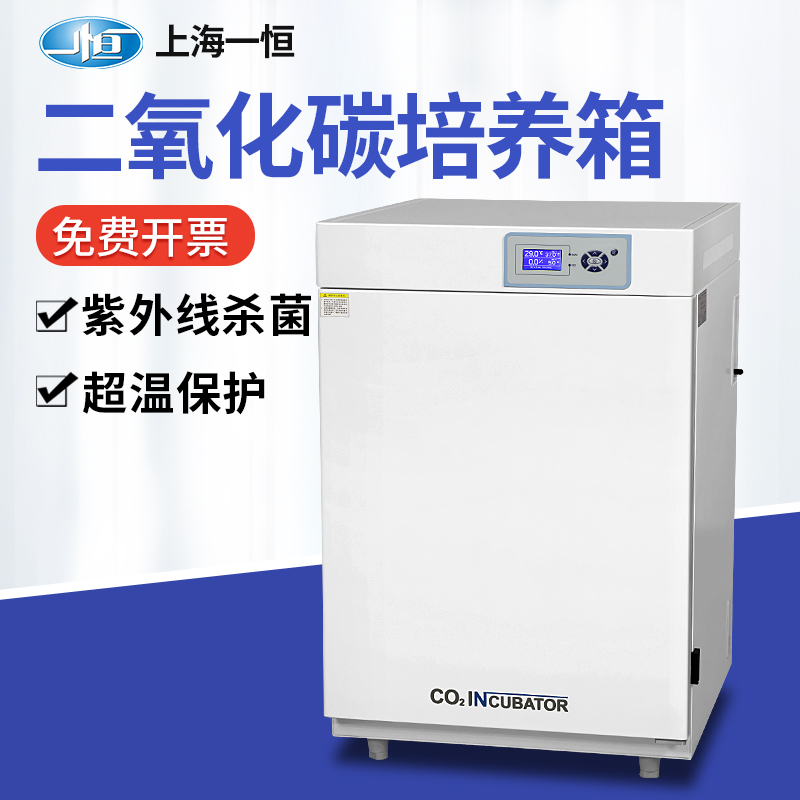 Shanghai Yiheng BPN-CH CW popular edition carbon dioxide incubator CO2 incubator microbial cell culture