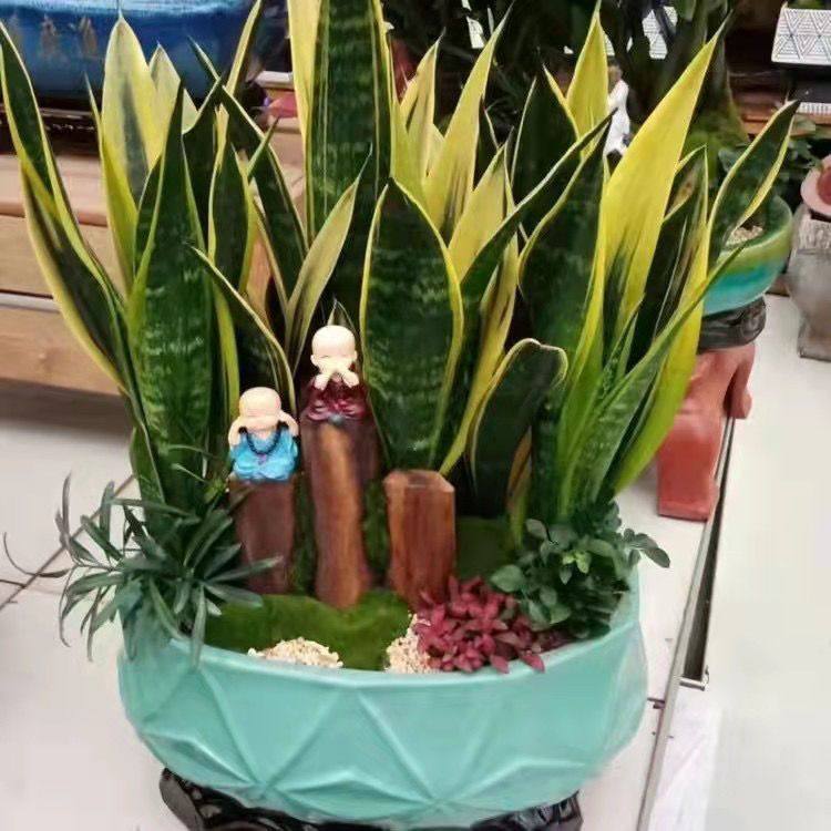 漳州市荣庆花卉铺