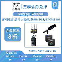 Rent a small bee Sony D11 Rhode Ntg4 recording wireless microphone interview microphone rental free