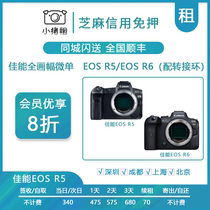 Rental Canon Micro Single Camera EOS R5 R6 R RP Full Frame Concert Tourism Free Rental Lease