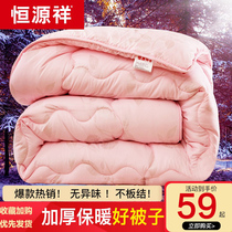 Hengyuanxiang quilt winter quilt thickened warm 10kg quilt core winter silk cotton quilt single double spring and autumn winter space quilt