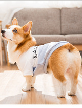 New Corky Sweatshirt Dog Clothes Small Dog Spring and Autumn Teddy Pet Bomei Clothing