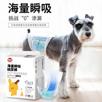 Special for male dog dog safety pants Teddy small dog underwear diaper pet diaper rage pants