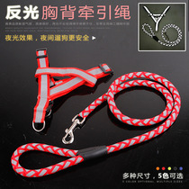 Dog leash dog chain large and small dog walking dog rope chain collar cat Teddy golden retriever puppy supplies