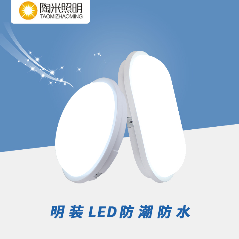 LED surface-mounted moisture-proof waterproof lamp bathroom aisle balcony powder room refrigerator outdoor wall lamp rainproof explosion-proof ceiling