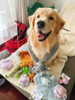 Плюшевая успокаивающая эмоциональная кукла, игрушка, домашний питомец, издает звуки