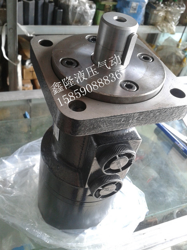 Hydraulic motor BMR-160 BMR-250 two-hole four-hole cycloid hydraulic motor