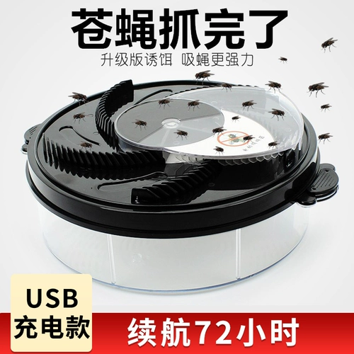 Артефакты мух.