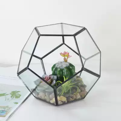 Football-shaped glass flower room micro landscape multi-meat glass flower table table storage finishing display box home decoration