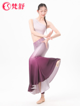 Dai Ethnic Dance Suit New National Costume Art Examination Practice Fish Tail Skirt Adult Peacock Dance Out of the Costume Hip