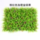 Mô phỏng cỏ cây xanh tường ngoài trời cửa hoa nền cây tường trang trí ban công trong nhà nhựa giả hoa - Hoa nhân tạo / Cây / Trái cây cây hoa mai giả