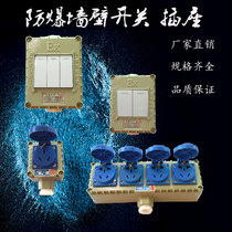 Industrial EX explosion-proof wall switch single control lighting switch porous 220V explosion-proof dustproof socket 10A 16A