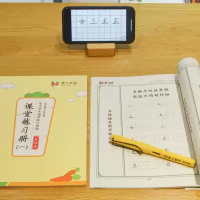 Luo Xi Teacher Zhengzi calligraphy practice students practical adult video class Hard pen Tianzi grid calligraphy paper textbook training book