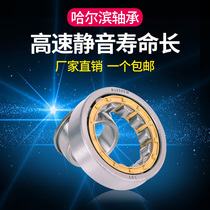 Harbin Bearing NJ1005 1006 1007 1008 1009 1010 1011 1012 1013