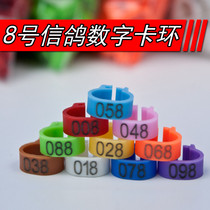 Pigeon Mark ring pigeon foot ring digital ring opening identification ring foot ring bird equipment pigeon supplies Green explosion
