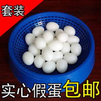 High quality fake pigeon egg solid pigeon fake egg pigeon supplies incubator meat Pigeon Pigeon with non-water injection