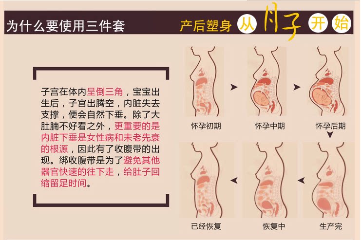 Corset en nylon - Ref 682992 Image 6