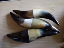 Tibet Tpurchase Plateau yak Yak Horn Tailor-made Yak Point Acupoint Massage Tool 3 Number of optional 5 up