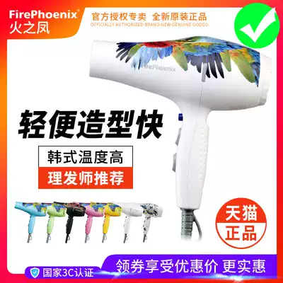 Fire Phoenix hair dryer 5600A Li store dedicated high-power Professional Hair Salon Hair Care home hot and cold