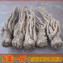 Nouveauté 5 branches de Daanggui Minxian Angelica source dorigine 500g têtes non-danggui fumées sans soufre produites à la ferme